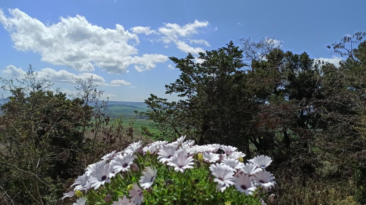 Masseria La Fiorita 마테라 외부 사진