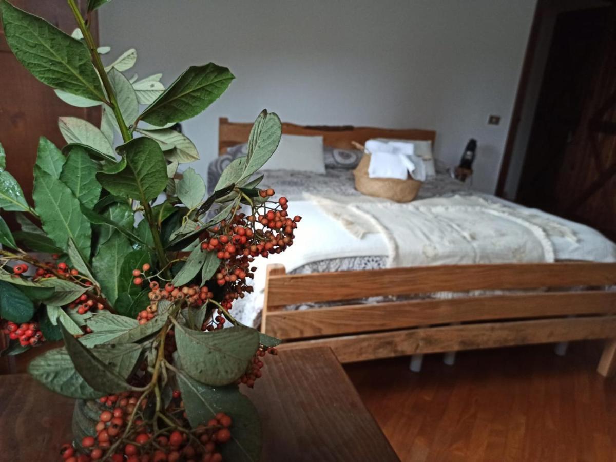 Masseria La Fiorita 마테라 외부 사진